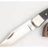 Нож BUCK 0110BKSNS FOLDING HUNTER