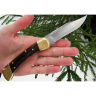 Нож Buck 0110BRSFG Folding Hunter