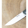 Нож BUCK 0251GRS LANGFORD