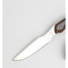 Нож BUCK 0543RWS OPEN SEASON CAPER