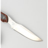 Нож BUCK 0543RWS OPEN SEASON CAPER