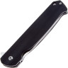 Нож BUCK LANGFORD 0251BKS